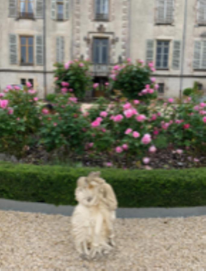 Chateau Pont Jarno B&B Champdeniers Exteriér fotografie