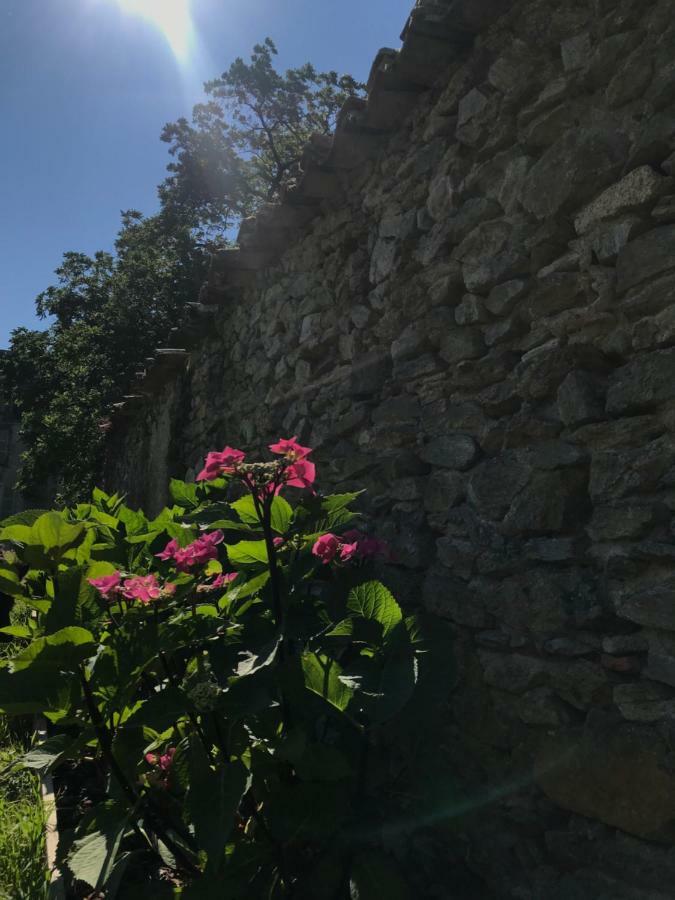 Chateau Pont Jarno B&B Champdeniers Exteriér fotografie