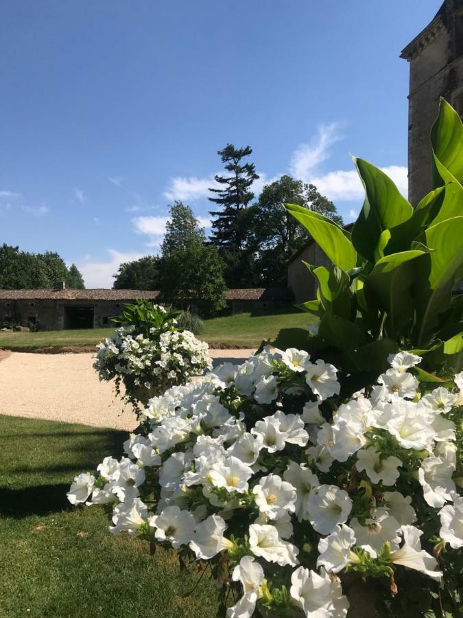 Chateau Pont Jarno B&B Champdeniers Exteriér fotografie